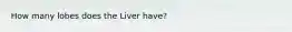 How many lobes does the Liver have?