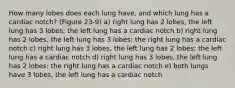 How many lobes does each lung have, and which lung has a cardiac notch? (Figure 23-9) a) right lung has 2 lobes, the left lung has 3 lobes; the left lung has a cardiac notch b) right lung has 2 lobes, the left lung has 3 lobes; the right lung has a cardiac notch c) right lung has 3 lobes, the left lung has 2 lobes; the left lung has a cardiac notch d) right lung has 3 lobes, the left lung has 2 lobes; the right lung has a cardiac notch e) both lungs have 3 lobes, the left lung has a cardiac notch