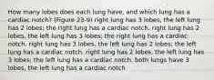 How many lobes does each lung have, and which lung has a cardiac notch? (Figure 23-9) right lung has 3 lobes, the left lung has 2 lobes; the right lung has a cardiac notch. right lung has 2 lobes, the left lung has 3 lobes; the right lung has a cardiac notch. right lung has 3 lobes, the left lung has 2 lobes; the left lung has a cardiac notch. right lung has 2 lobes, the left lung has 3 lobes; the left lung has a cardiac notch. both lungs have 3 lobes, the left lung has a cardiac notch