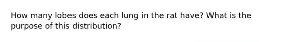 How many lobes does each lung in the rat have? What is the purpose of this distribution?