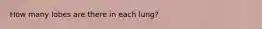 How many lobes are there in each lung?