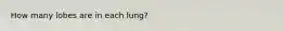 How many lobes are in each lung?