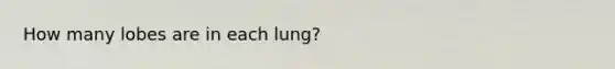 How many lobes are in each lung?