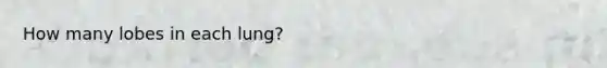 How many lobes in each lung?