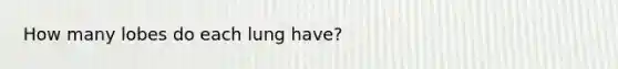 How many lobes do each lung have?