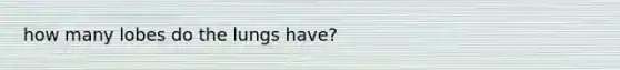 how many lobes do the lungs have?
