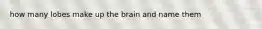 how many lobes make up the brain and name them