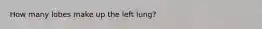 How many lobes make up the left lung?