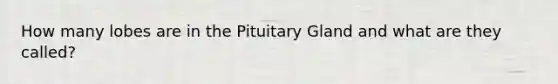 How many lobes are in the Pituitary Gland and what are they called?