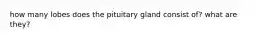 how many lobes does the pituitary gland consist of? what are they?