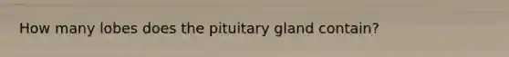 How many lobes does the pituitary gland contain?