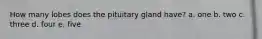 How many lobes does the pituitary gland have?​ a. ​one b. ​two c. ​three d. ​four e. ​five