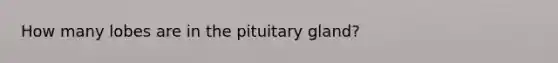 How many lobes are in the pituitary gland?