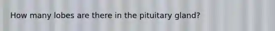 How many lobes are there in the pituitary gland?