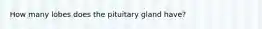 How many lobes does the pituitary gland have?​