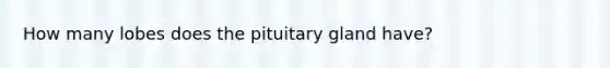 How many lobes does the pituitary gland have?​