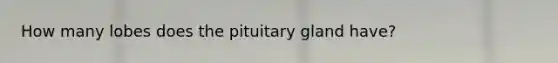 How many lobes does the pituitary gland have?