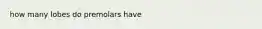 how many lobes do premolars have