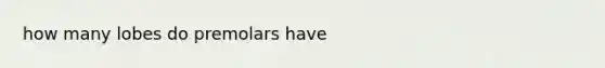 how many lobes do premolars have