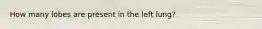 How many lobes are present in the left lung?