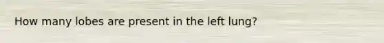 How many lobes are present in the left lung?