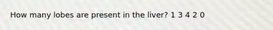 How many lobes are present in the liver? 1 3 4 2 0