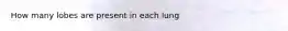 How many lobes are present in each lung