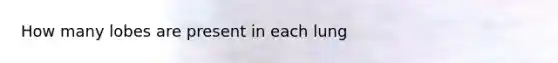 How many lobes are present in each lung