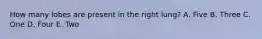 How many lobes are present in the right lung? A. Five B. Three C. One D. Four E. Two
