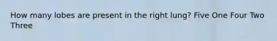 How many lobes are present in the right lung? Five One Four Two Three