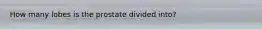 How many lobes is the prostate divided into?