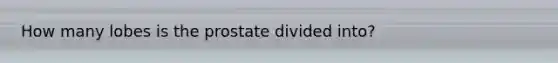 How many lobes is the prostate divided into?