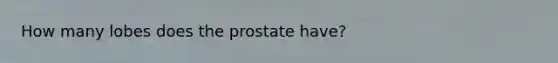 How many lobes does the prostate have?