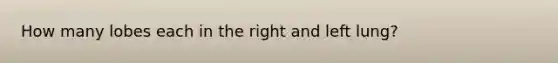 How many lobes each in the right and left lung?