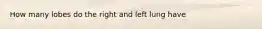 How many lobes do the right and left lung have