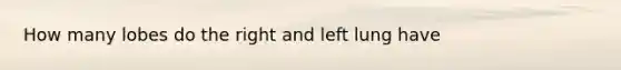 How many lobes do the right and left lung have