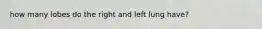 how many lobes do the right and left lung have?