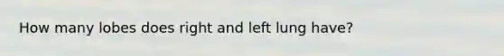 How many lobes does right and left lung have?