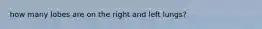 how many lobes are on the right and left lungs?