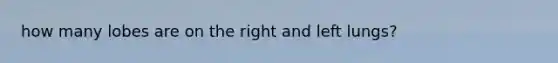 how many lobes are on the right and left lungs?