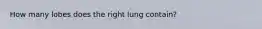 How many lobes does the right lung contain?