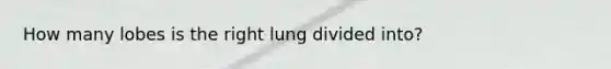 How many lobes is the right lung divided into?