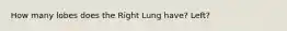 How many lobes does the Right Lung have? Left?