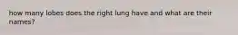 how many lobes does the right lung have and what are their names?