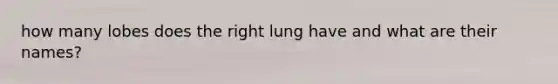 how many lobes does the right lung have and what are their names?