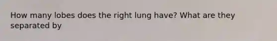 How many lobes does the right lung have? What are they separated by