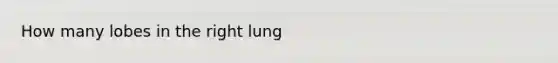 How many lobes in the right lung