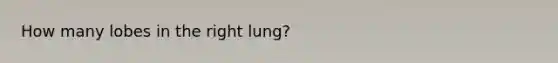 How many lobes in the right lung?