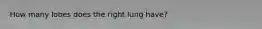 How many lobes does the right lung have?