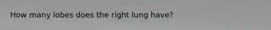 How many lobes does the right lung have?